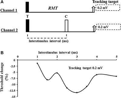 Physiological Processes Underlying Short Interval Intracortical Facilitation in the Human Motor Cortex